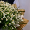   34 -         , , , , . ,  , , , ,  ,    , , 24 ,  