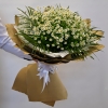   34 -         , , , , . ,  , , , ,  ,    , , 24 ,  