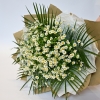   34 -         , , , , . ,  , , , ,  ,    , , 24 ,  