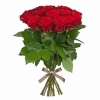   20 -         , , , , . ,  , , , ,  ,    , , 24 ,  