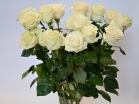   -         , , , , . ,  , , , ,  ,    , , 24 ,  
