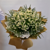   34 -         , , , , . ,  , , , ,  ,    , , 24 ,  