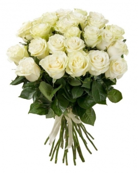   25 -         , , , , . ,  , , , ,  ,    , , 24 ,  