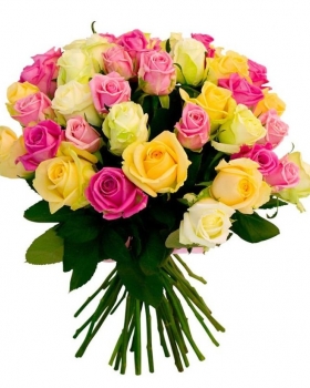   26 -         , , , , . ,  , , , ,  ,    , , 24 ,  
