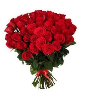   27 -         , , , , . ,  , , , ,  ,    , , 24 ,  
