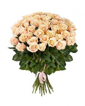   29 -         , , , , . ,  , , , ,  ,    , , 24 ,  