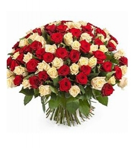   33 -         , , , , . ,  , , , ,  ,    , , 24 ,  