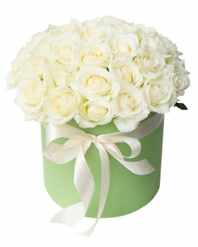     22 -         , , , , . ,  , , , ,  ,    , , 24 ,  