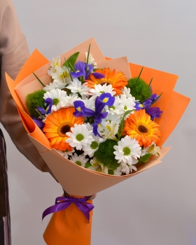  39 -         , , , , . ,  , , , ,  ,    , , 24 ,  