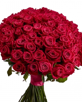   37 -         , , , , . ,  , , , ,  ,    , , 24 ,  
