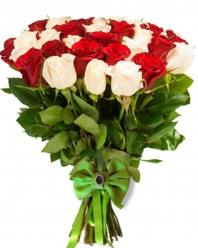   21 -         , , , , . ,  , , , ,  ,    , , 24 ,  