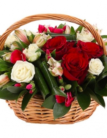   24 -         , , , , . ,  , , , ,  ,    , , 24 ,  