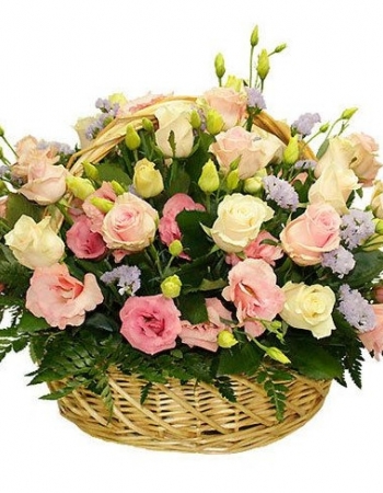   27 -         , , , , . ,  , , , ,  ,    , , 24 ,  