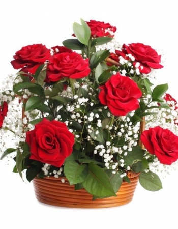   8 -         , , , , . ,  , , , ,  ,    , , 24 ,  