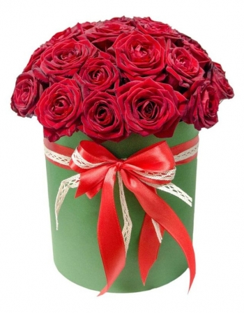     28 -         , , , , . ,  , , , ,  ,    , , 24 ,  