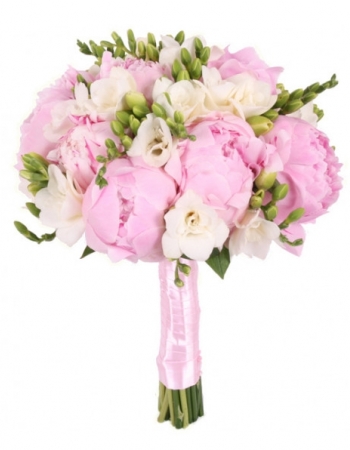  10 -         , , , , . ,  , , , ,  ,    , , 24 ,  