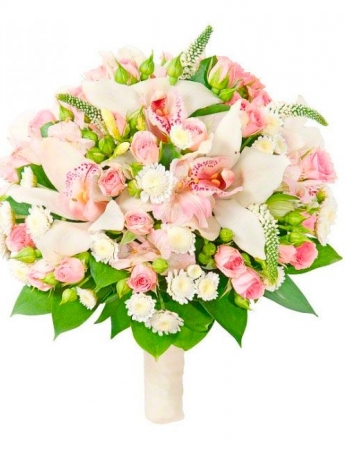  11 -         , , , , . ,  , , , ,  ,    , , 24 ,  