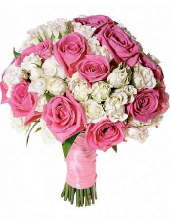  9 -         , , , , . ,  , , , ,  ,    , , 24 ,  