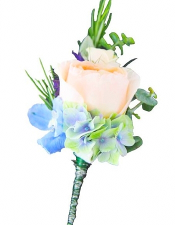  20 -         , , , , . ,  , , , ,  ,    , , 24 ,  